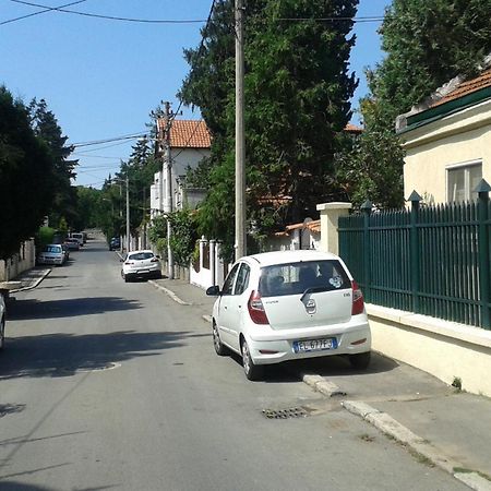 The House In Greenery Belgrado Buitenkant foto